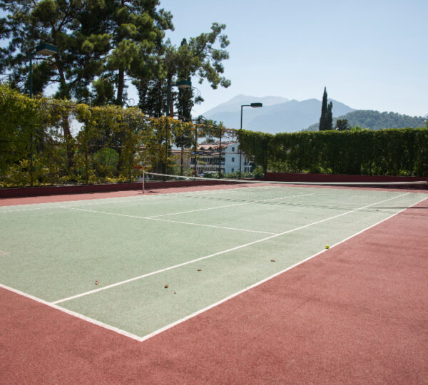 SHUTTLE AND BADMINTON COURT
