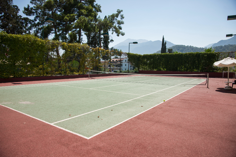 Shuttle & Badminton Court